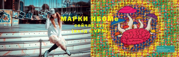 сатива Ладушкин