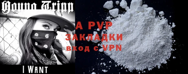 ПСИЛОЦИБИНОВЫЕ ГРИБЫ Чекалин